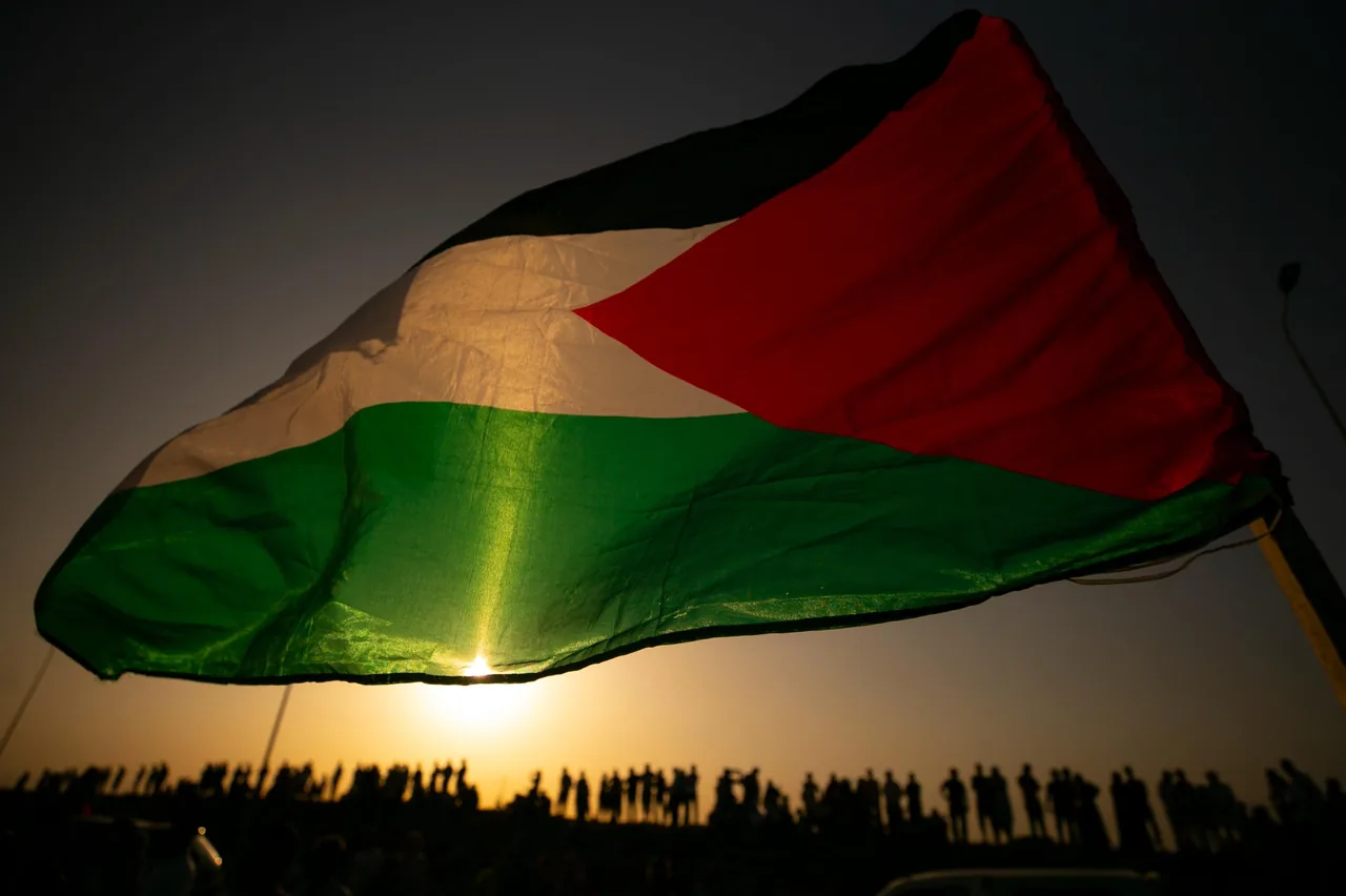 Activists from 13 Countries Launch Global Solidarity Hunger Strike Demanding the Immediate Release of 11 Humanitarian Volunteers Detained in Libya